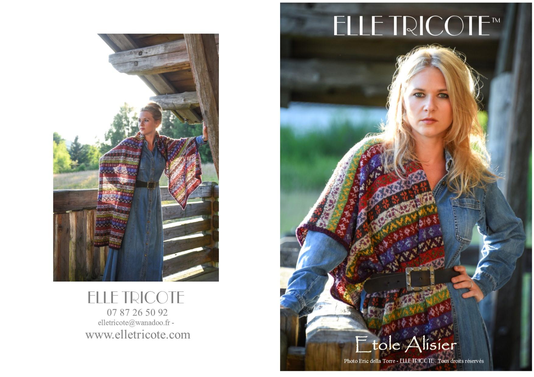 Fiche Tricot étole Alisier