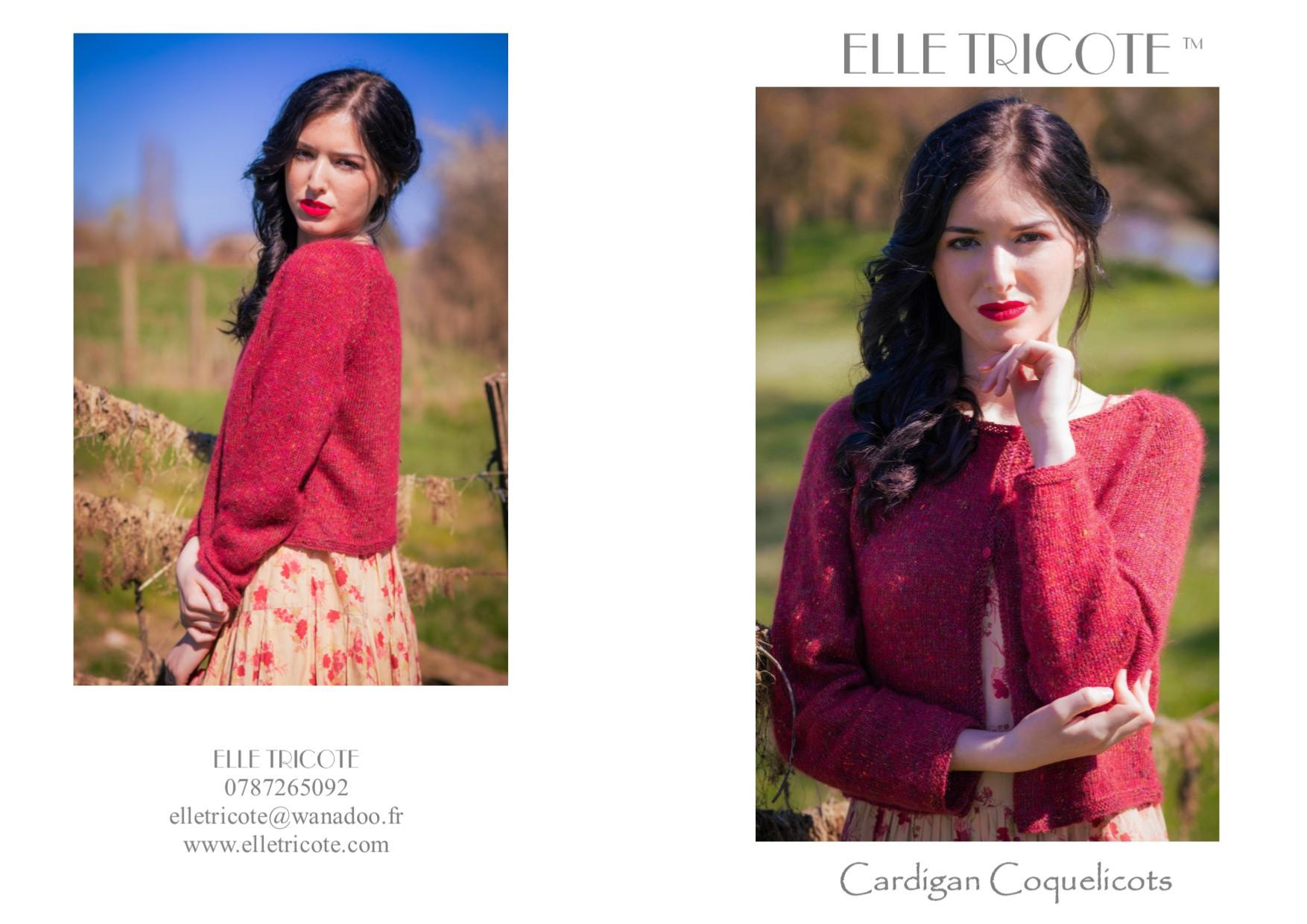 Fiche Tricot Cardigan Coquelicots