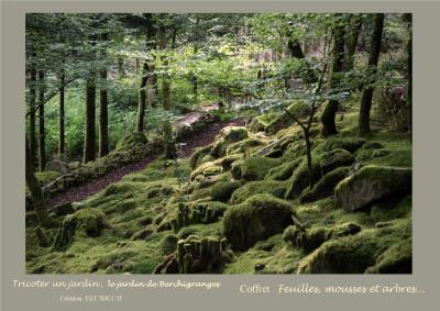 Coffret Feuilles, mousses et arbres