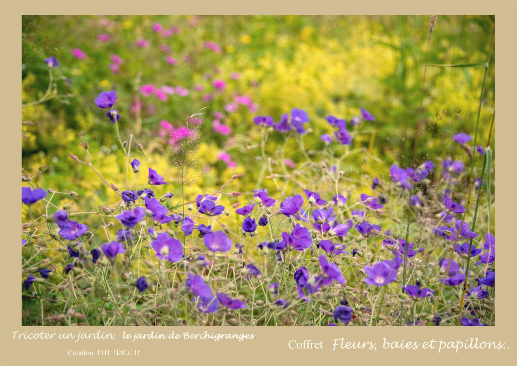 Coffret Fleurs, baies et papillons ...