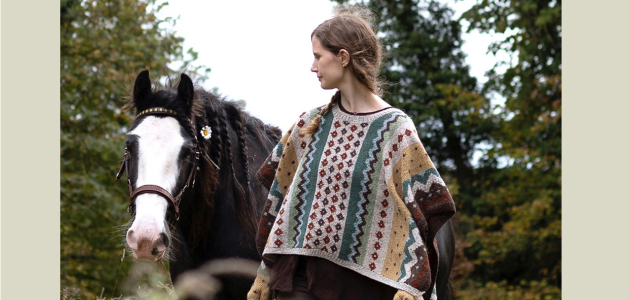 Voir le livre de la Collection Lakotas